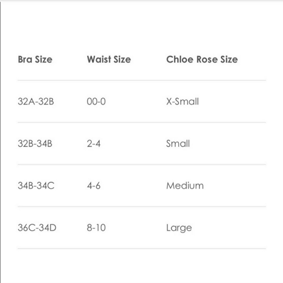 Chloe Rose String Bikini Bundle (2)Size: Small Triangle / Brazilian Lavender NWT - Picture 8 of 8